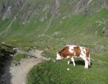 Grossvenediger (3666m) - túránk a Johannishütte felé