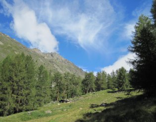 Similaun (3606m) - Italy