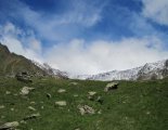 Similaun (3606m) - Italy