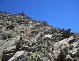 Similaun (3606m) - Italy