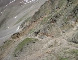 Similaun (3606m) - Italy