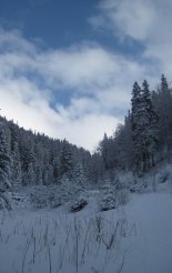 Gyömbér-csúcs (2043m) hótalpas túra