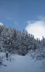 Gyömbér-csúcs (2043m) hótalpas túra