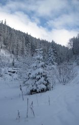 Gyömbér-csúcs (2043m) hótalpas túra