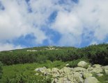 Gyömbér-csúcs(2043m) gerinctúra - túránk elején