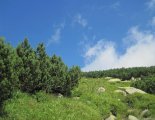 Gyömbér-csúcs(2043m) gerinctúra - túránk elején
