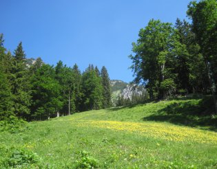 Hochweichsel(2006m) - Hochschwab(2277m)