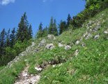 Hochweichsel(2006m) - Hochschwab(2277m)