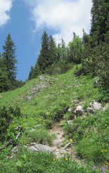 Hochweichsel(2006m) - Hochschwab(2277m)