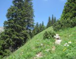 Hochweichsel(2006m) - Hochschwab(2277m)