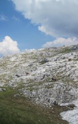 Hochweichsel(2006m) - Hochschwab(2277m)