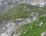 Hochweichsel(2006m) - Hochschwab(2277m)