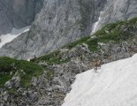 Hochweichsel(2006m) - Hochschwab(2277m)