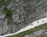 Hochweichsel(2006m) - Hochschwab(2277m)