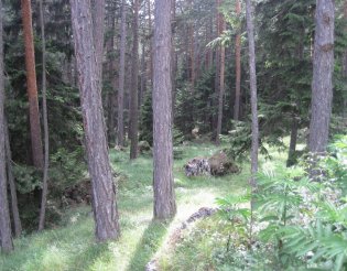 Hohe Wand: Gebirgsvereinssteig - túra a beszállásig