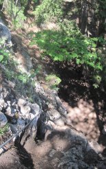 Hohe Wand: Gebirgsvereinssteig - via ferratank elején 