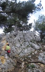 Hohe Wand: Gebirgsvereinssteig - egy átvezető szakaszon