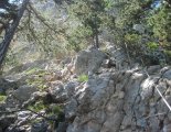 Hohe Wand: Gebirgsvereinssteig - túránk egy nehezebb szakaszán
