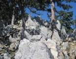 Hohe Wand: Gebirgsvereinssteig - túránk egy nehezebb szakaszán