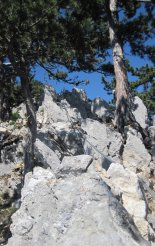 Hohe Wand: Gebirgsvereinssteig - túránk egy nehezebb szakaszán