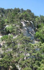 Hohe Wand: Gebirgsvereinssteig - túránk a távolban 