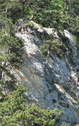 Hohe Wand: Gebirgsvereinssteig - túránk a távolban 