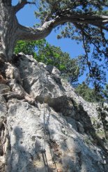 Hohe Wand: Gebirgsvereinssteig - a függőhíd utáni szakasz