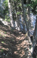 Hohe Wand: Gebirgsvereinssteig - egy átvezető szakaszon