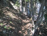 Hohe Wand: Gebirgsvereinssteig - egy átvezető szakaszon