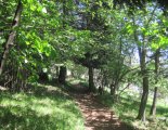 Hohe Wand: Gebirgsvereinssteig - túra a Hubertushaushoz