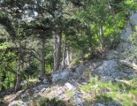 Hohe Wand: Gebirgsvereinssteig - Springlessteig - "A"