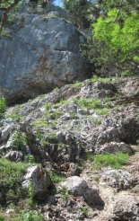Hohe Wand: Gebirgsvereinssteig - Springlessteig - "A"