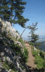 Hohe Wand: Gebirgsvereinssteig - Springlessteig - "A"