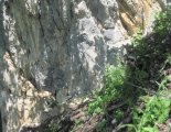 Hohe Wand: Wildenauersteig - az egyetlen drótkötéllel biztosított részünk