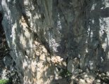 Hohe Wand: Wildenauersteig - az egyetlen drótkötéllel biztosított részünk