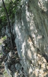 Hohe Wand: Wildenauersteig - az egyetlen drótkötéllel biztosított részünk