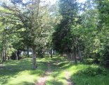 Hohe Wand: Wildenauersteig - túra a Hubertushaus-ig