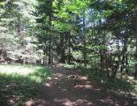 Hohe Wand: Wildenauersteig - túra a Hubertushaus-ig