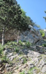 Hohe Wand: Wildenauersteig - Springlessteig