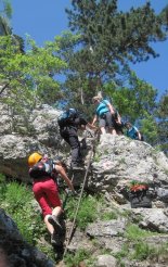 Hohe Wand: Wildenauersteig - Springlessteig
