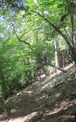 Hohe Wand: Wildenauersteig - útban a beszállás felé