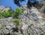 Hohe Wand: Wildenauersteig - túránk a kiindulási pontról