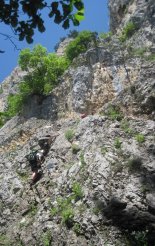 Hohe Wand: Wildenauersteig - túránk indulási pontja