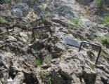 Hohe Wand: Wildenauersteig - túránk indulási pontja
