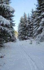 Király-hegy (1948m) - hótalpas túra