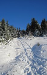 Király-hegy (1948m) - hótalpas túra