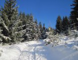 Király-hegy (1948m) - hótalpas túra