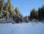 Király-hegy (1948m) - hótalpas túra