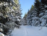 Király-hegy (1948m) - hótalpas túra