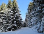Király-hegy (1948m) - hótalpas túra
